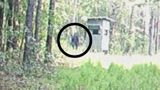 REAL Bigfoot ACTUALLY Caught on Camera 2017?! [Actual Sasquatch Proof/Evidence]