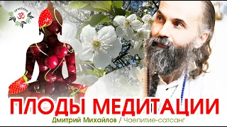 Плоды Медитации. Дмитрий Михайлов