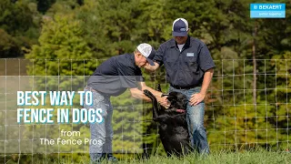 Learn the BEST Fencing for Dogs