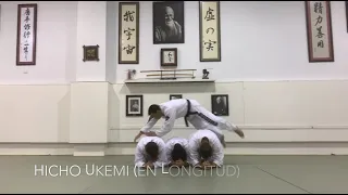 Ukemi Waza (Caídas).