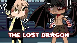 The Lost Dragon ┆(Original i think) ┆GLMM┆BL┆