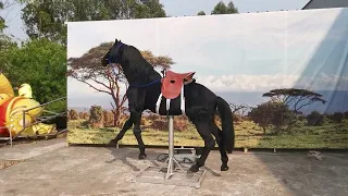 simulation horse