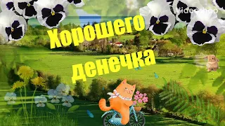 ☕️ Доброе утро! Утренний позитивчик! 😀 Музыкальная видео открытка. Красивая мелодия!