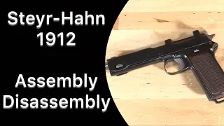 Steyr-Hahn 1912 Disassembly