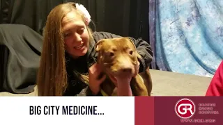 Smores - Blue Mountain Humane Association Pet Segment - October 21st, 2019