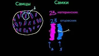 Изменчивость видов