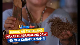 Buhok ng tikbalang, nakakapagpagaling daw ng mga karamdaman?! | I Juander