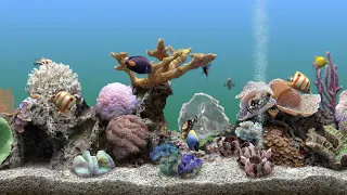 Заставка на телевизор проектор расслабляющий АКВАРИУМ,  Relaxing AQUARIUM