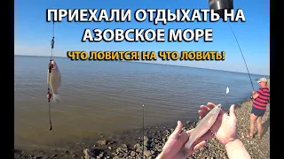 Что можно поймать на Азовском море во время отдыха! Рыбалка на море! Что для этого нужно!