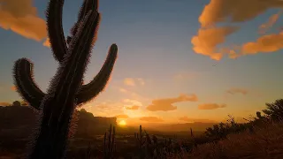 Sunrise in the Desert with Beautifully Relaxing Music - Sonoran Sunrise