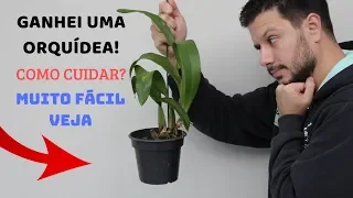 COMO CUIDAR DA ORQUÍDEA QUE GANHEI?