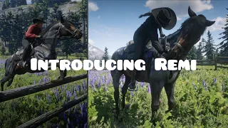introducing Remi || Red Dead Redemption