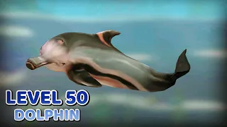 Dolphin LEVEL 50! | Wildcraft #shorts