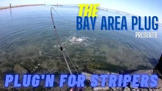 Plugging For Striped Bass (SF Bay Area Shoreline Fishing)