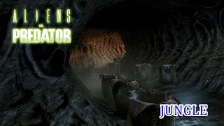 Aliens vs. Predator 2010 - MARINE - Jungle