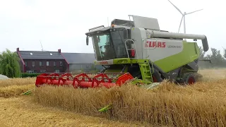 Wintergerst combinen met CLAAS Lexion 540. Akkerb. Blaauw Delfzijl.