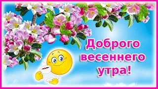 Доброго весеннего утра! Хорошего дня!