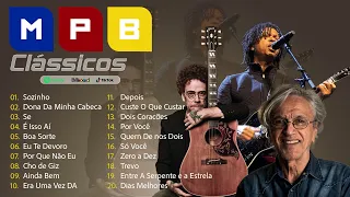 MPB Acústico Voz e Violão - Música Popular Brasileira Antiga - Caetano Veloso, Djavan, Cazuza