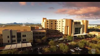 Mayo Clinic College of Medicine and Science: Arizona Experience
