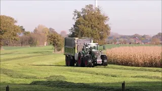 Fendt 930 mit Claas Cargos im Gras.