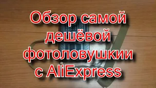 Самая дешёвая фотоловушка с AliExpress.