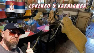 Vlog 8. Lunch at Villa Maska, visit to the Saint Sava crypt and dinner at Lorenzo & Kakalamba.