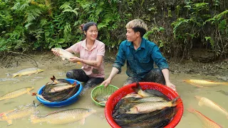 Stock the pond, harvest, carp, sell, build farm life together, Triệu Thị Phương