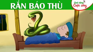 RẮN BÁO THÙ - Phim hoạt hình - Truyện cổ tích - Tổng hợp phim hoạt hình hay - Khoảnh khắc kỳ diệu