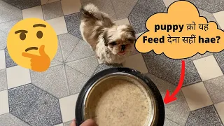 Shih tzu Puppy को क्या Diet/feed दे ?🙄 पूरी video Dekhe