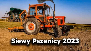 🔥Siew Pszenicy 2023 !🔥Mtz 82🔥