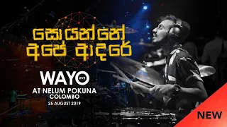 WAYO (Live) - Soyanne Ape Adare ( සොයන්නේ අපේ ආදරේ )