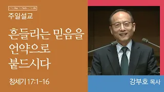 [강부호 목사] 흔들리는 믿음을 언약으로 붙드시다 (창세기 17:1-16)│2023.09.24