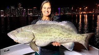 UNEXPECTED Catch Fishing URBAN MIAMI! CATCH CLEAN & COOK!