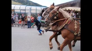 360 View of Strongman Franz Muellner Racing a Horse + Cart in Austria