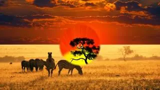 Soul of Africa ...I dreamed of Africa ...