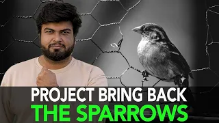 Project Bring Back The Sparrows | Anuj Ramatri - An EcoFreak