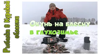 Уловистая оснастка на окуня в глухозимье. Конкурсное видео