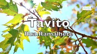 🌸 Tavito - Rua Ramalhete (Letra & Poesia)  1979