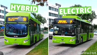 [SBST / G-AS] Diesel-Electric Hybrid & 100% Electric Bus calling at a Bus Stop