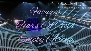 Faouzia - Tears Of Gold | Empty Arena Effect