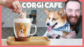 I Surprised My Friend With Corgis At A Corgi Cafe