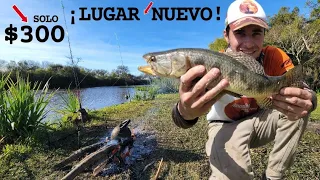 POR $300 SACAMOS DE TODO, Matungo, Tarus, Bagres, Angila, | Camping Familia Ruiz | Pesca en Ñancay.