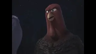 ytp bird