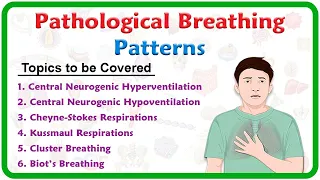 Pathological breathing / Abnormal breathing patterns : Kussmaul, Cheyne stokes, Biot's, Cluster