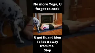 A Jealous Dog Stops Owner's Yoga Session with Funny Argument #Shorts