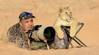 20 Craziest and Interesting Wild Animals Moments Caught on Camera 😯