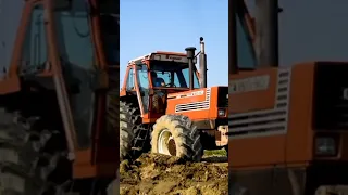 trattore fiatagri 180-90 in aratura #agriculture