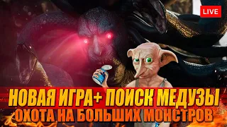 NG+ DRAGONS DOGMA 2 охота на МЕДУЗУ + СФИНКС