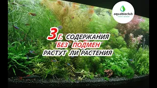 3 г. содержания без подмен. Секрет аквариума без подмен! Растут ли растения? Как часто прополка?