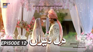 Dil E Veeran Ep 13 | Dil E Veeran drama Ep 12 Promo | Dil E Veeran Episode 12 | Ary Digital دل 12